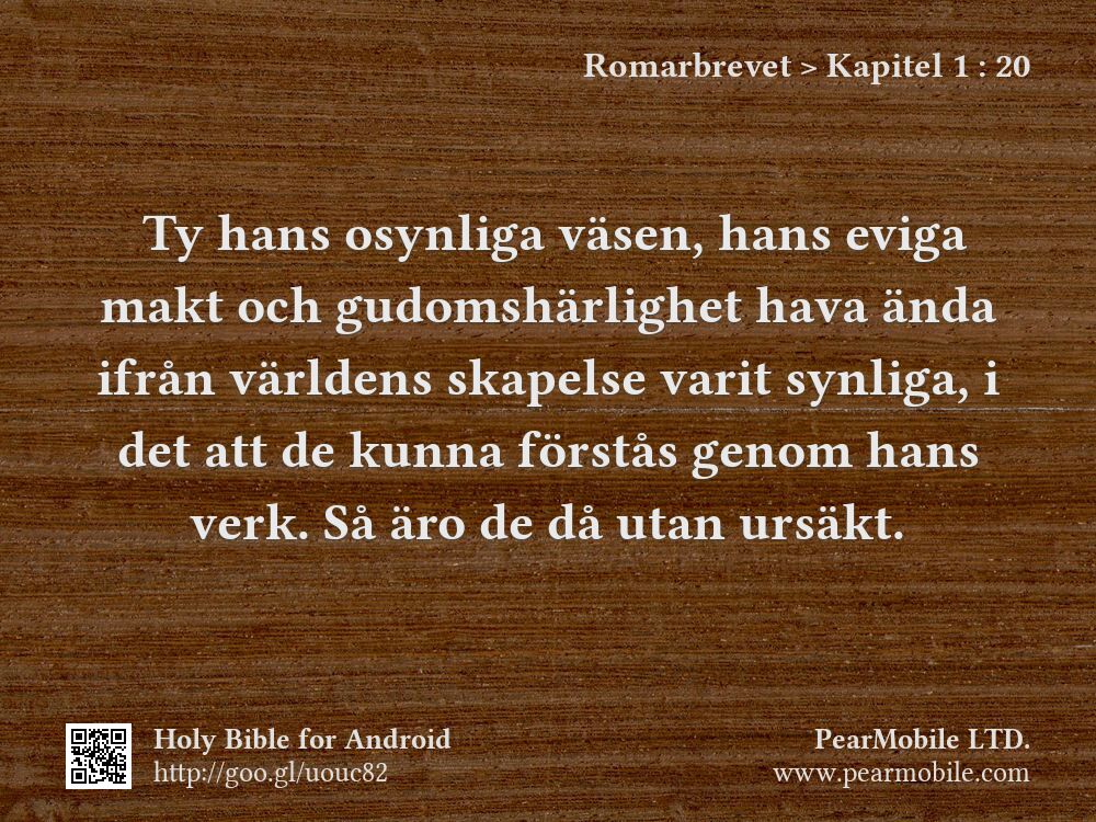 Romarbrevet, Kapitel 1:20